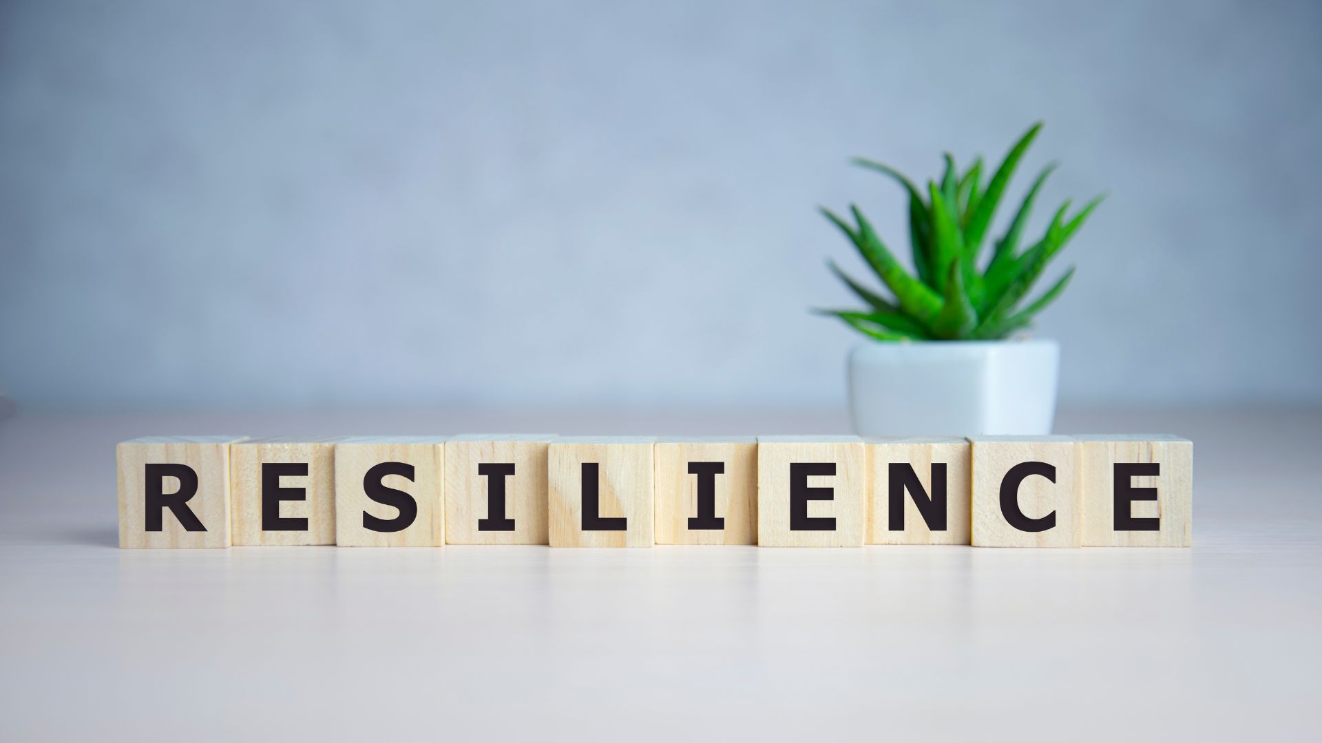 Resiliens - förmågan att stå emot yttre och inre tryck och komma tillbaks till en samma eller bättre nivå efteråt