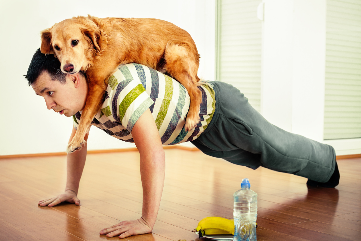 Sluta prokrastinera med hypnos del 2