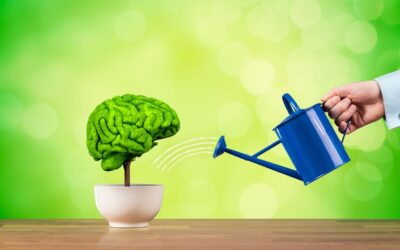 Träna ditt minne del 4