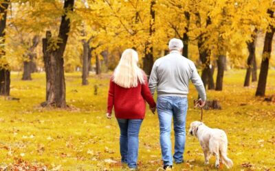 Hypnos för att möta hösten