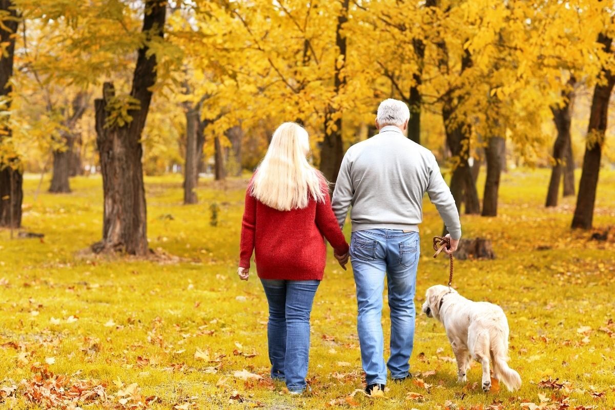 Hypnos-for-att-mota-hosten